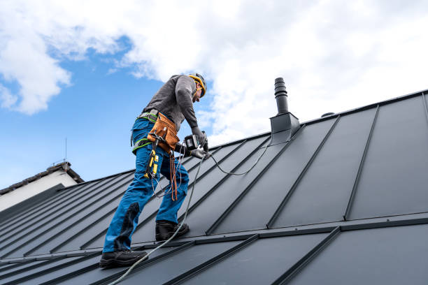 Best Gutter Installation and Repair  in Pocatello, ID